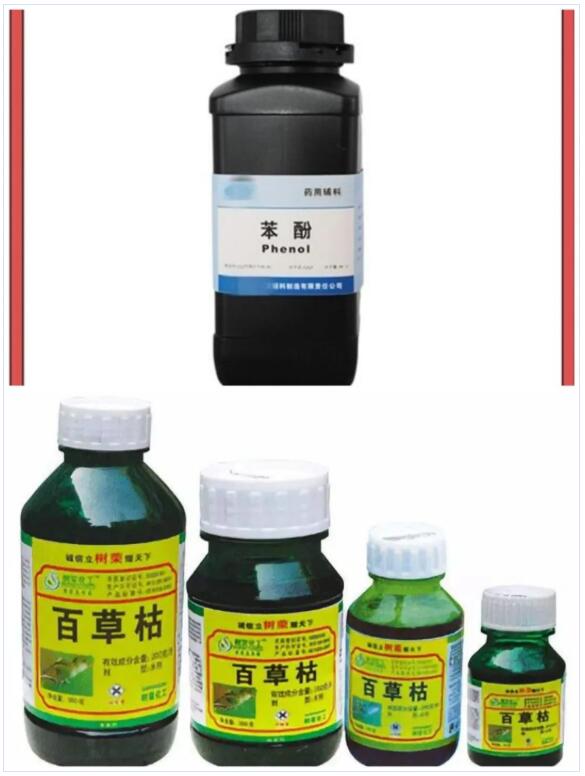 <a href='http://m.126163.net' title='國際貨運代理' >國際貨運代理</a>